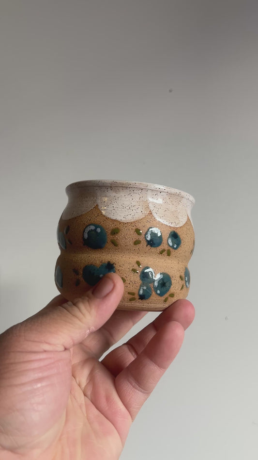 Blueberry cup video 360 angle